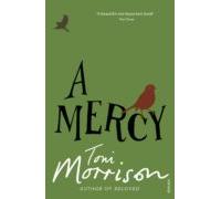 A Mercy (ebook)