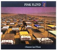 Pink Floyd - A Momentary Lapse Of Reason.