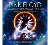 A Momentary Lapse Of Reason Tour 1987 King Biscuit Flower Hour