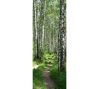A.Monamour Pegatinas Decorativas de Puerta Autoadhesivo 3D Abedul Bosque Camino Estrecho Naturaleza Paisaje Vinilo para Puertas Mural PVC Pegatinas de Pared Foto Poster