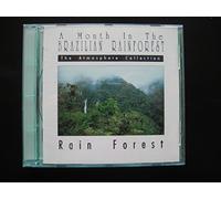 A Month in the Brazilian Rainforest: Rain Forest