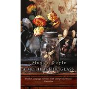 A Moth At The Glass
