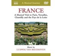 A Musical Journey: France - A Musical Visit to Paris... (DVD) (Importación USA)