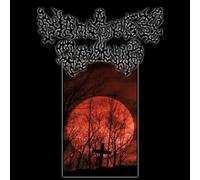 A Nameless Grave / 名も無き墓