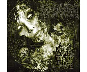 A New Dawn For The Dead