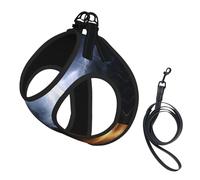 A Night of Lightning and Thunder - Arnés ajustable para perro con diseño reflectante, adecuado para perros, gatos, senderismo y actividades al aire libre