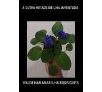 A Outra Metade De Uma Juventude (ebook)