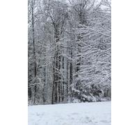 A Peaceful Winter: Beautiful Nature Journal Notebook - Fun Gift Idea - For Friends and Family -Coworkers -Book Club Members -Anyone Who Loves Nature