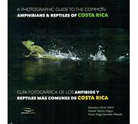 Guia Fotografica Anfibios Y Reptiles Costa Rica