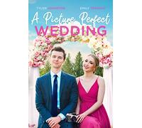 A Picture Perfect Wedding [USA] [DVD]