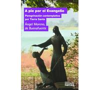 A Pie Por El Evangelio: Peregrinación contemplativa por Tierra Santa: 317 (Espiritulidad)