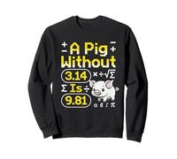 A Pig Without 3.14 Is 9.81 Física matemática Sudadera