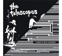 A Place to Bury Strangers the Telescopes - I wanna be your dog