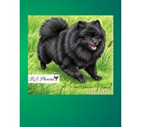 A Pomeranian Named Bear Bear