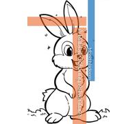 A Rabbit Coloring Adventure