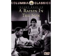 A Raisin in the Sun [Reino Unido] [DVD]