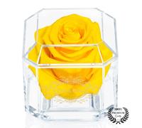 A Real Rose That Lasts A Year - Gold Solo (Yellow)