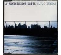 A Reminiscent Drive - NYC Dharma