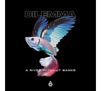 A River Without Banks [Vinilo]