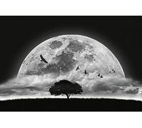 A.S. Création Papel pintado Cielo nocturno luna llena en negro, blanco y gris - Papel pintado para habitaciones diferentes - Papel pintado no tejido XXL 384 x 260 cm