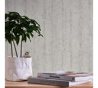 A.S. Création Papel pintado de fieltro con aspecto de hormigón vintage, 10,05 m x 0,53 m, beige y gris 367051 36705-1
