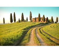 A.S. Création Papel Pintado Toscana 3,75 m x 2,50 m - WALLLOVE Papel Pintado Campo con árboles en verde, marrón, azul incluida la cola - DD129579