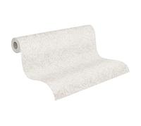 A.S. Création Terra 389202 - Papel pintado para pared, diseño de ramas, 10,05 m x 0,53 m, fabricado en Alemania