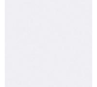 A.S. Création ThermoWall 393861 - Papel pintado aislante térmico (10,05 x 1,06 m, bajo consumo), color blanco