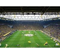 A.S. Création WTD 118847 - Papel pintado fotográfico (366 x 254 cm), diseño de estadio del Borussia Dortmund, color amarillo, negro, verde y blanco