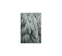 A.S. Création WTD DD131753 - Lienzo decorativo (50 x 75 cm), diseño de plumas, color azul y gris
