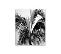 A.S. Création WTD DD131783 - Lienzo decorativo (40 x 50 cm), diseño de palmeras, color blanco y negro
