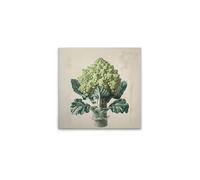 A.S. Création WTD Romanesco DD132953 - Lienzo decorativo (50 x 50 cm), diseño de cocina en color beige
