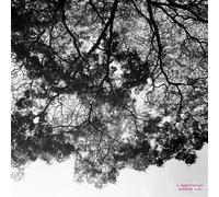 A Sagittariun - Oxidize [Vinilo]
