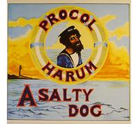 A Salty Dog