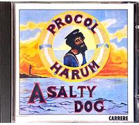A Salty Dog