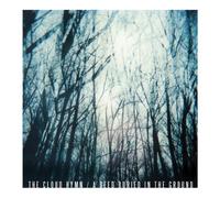 A Seed Buried In The Ground