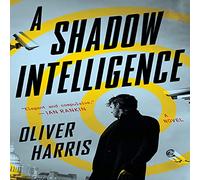 A Shadow Intelligence