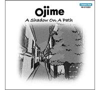 A shadow on a path