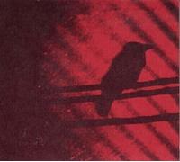 Silver Mt. Zion - Born Into Trouble As the Spark
