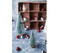 A Simpler Christmas: Celebrate a Holiday with More Joy and Less Fuss (Minimalist Basics)