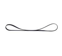 A sixx Tournedisco, Entrenamiento por Correa, Hermosa Elasticidad Duradera no fácil de Romper para los Discos (1L10 Circumference 200 mm)