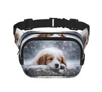 A Sleeping Dog - Riñonera cuadrada de doble capa, unisex, para correr, viajar, senderismo, fitness, color negro, talla única, Negro, One Size