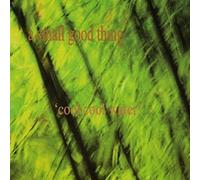 A Small Good Thing - Cool Cool Water