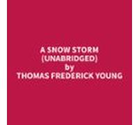 A Snow Storm (unabridged) (audiolibro)