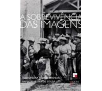 A Sobrevivência Das Imagens (ebook)