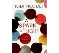 A Spark Of Light