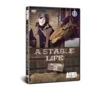 A Stable Life Series 2 [DVD] [Reino Unido]