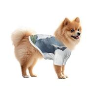 A Stone Falling from the Sky - Camiseta de malla para perro, ligera y transpirable, de secado rápido, elástica, para perros pequeños