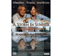 A Storm in Summer [Italia] [DVD]
