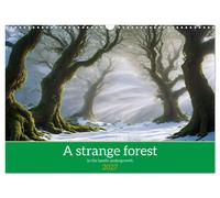 A strange forest In the lonely undergrowth (Wall Calendar 2027 DIN A3 landscape)